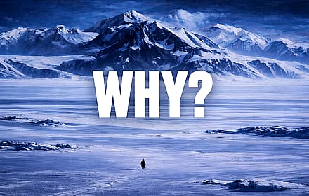 werner herzog nihilist penguin wallpaper'