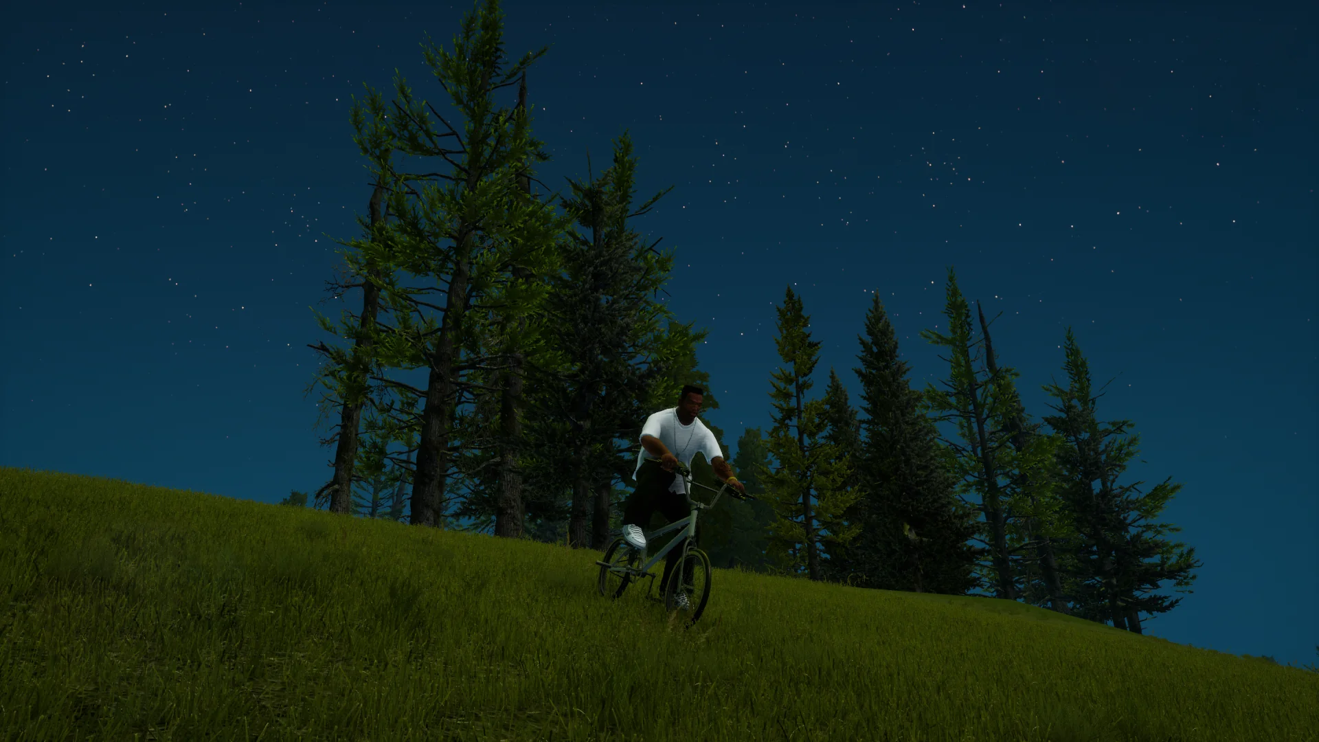 CJ - The Cyclist 1 picture 1 of 1