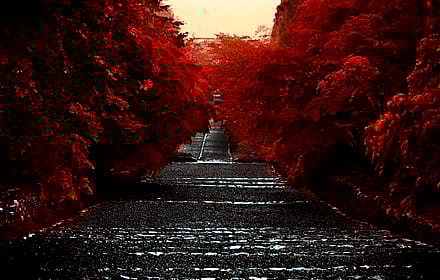 The Red Corridor'