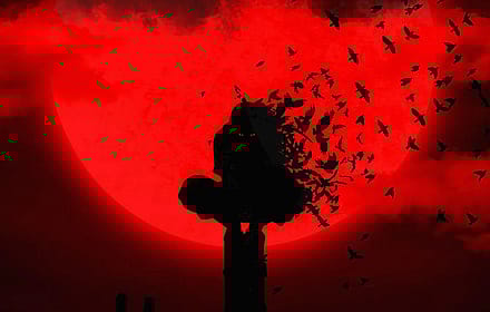 The Night the Crows Awoke'