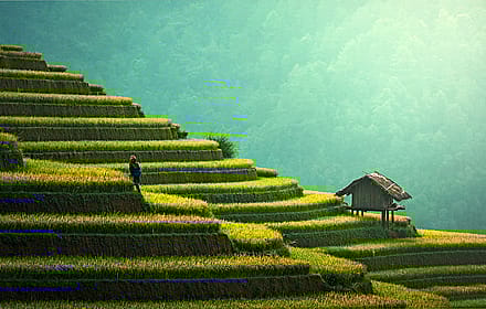 1 Wallpaper Each from 4 Categories | Nature, Urban, Mix & Mystical'