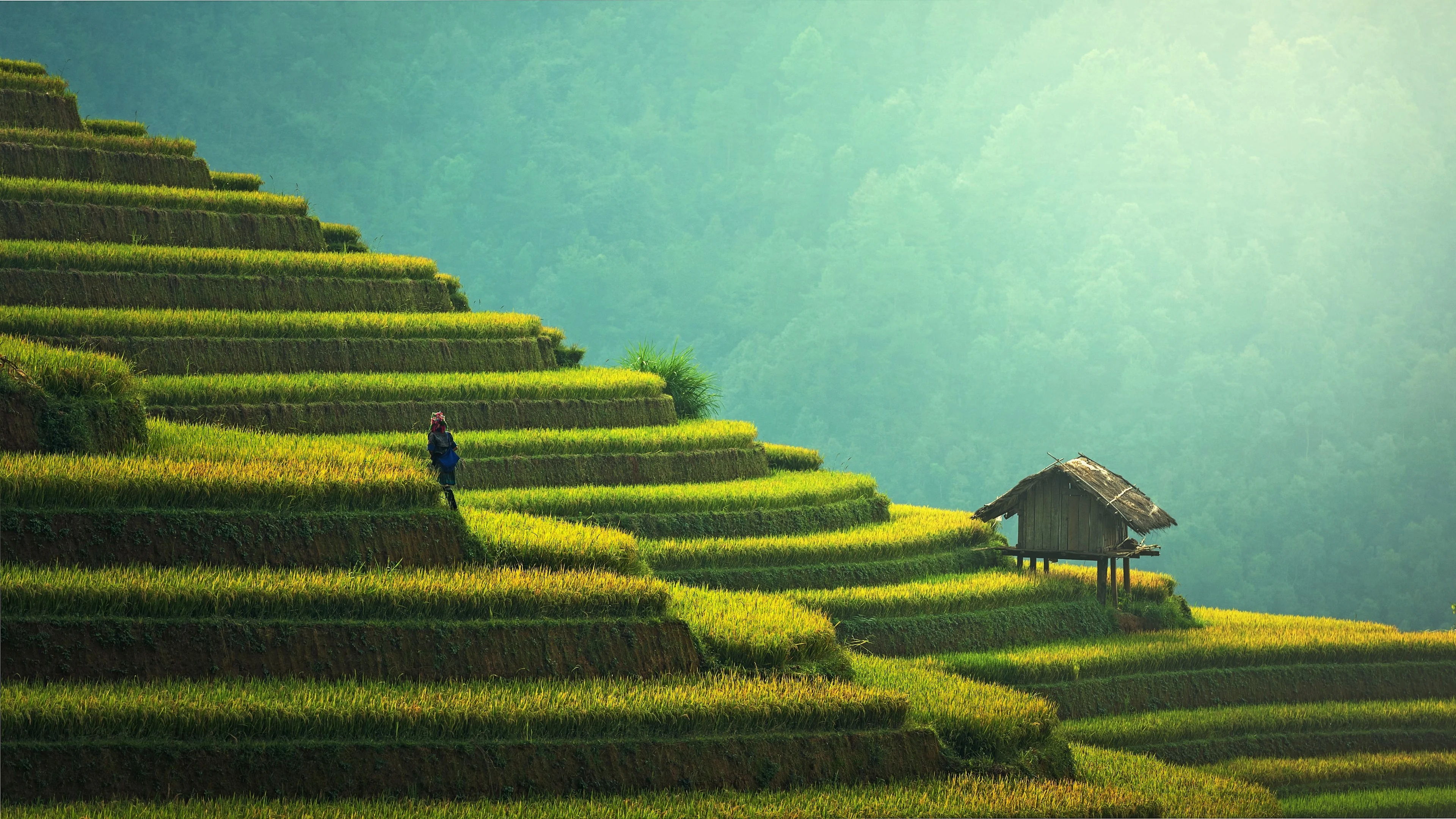 1 Wallpaper Each from 4 Categories | Nature, Urban, Mix & Mystical picture 1 of 4