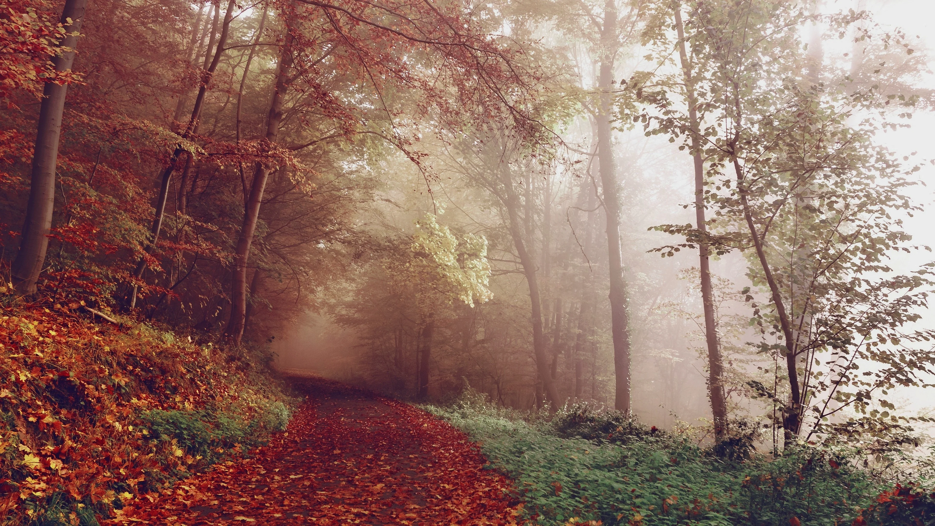 1 Wallpaper Each from 4 Categories | Nature, Urban, Mix & Mystical picture 2 of 4