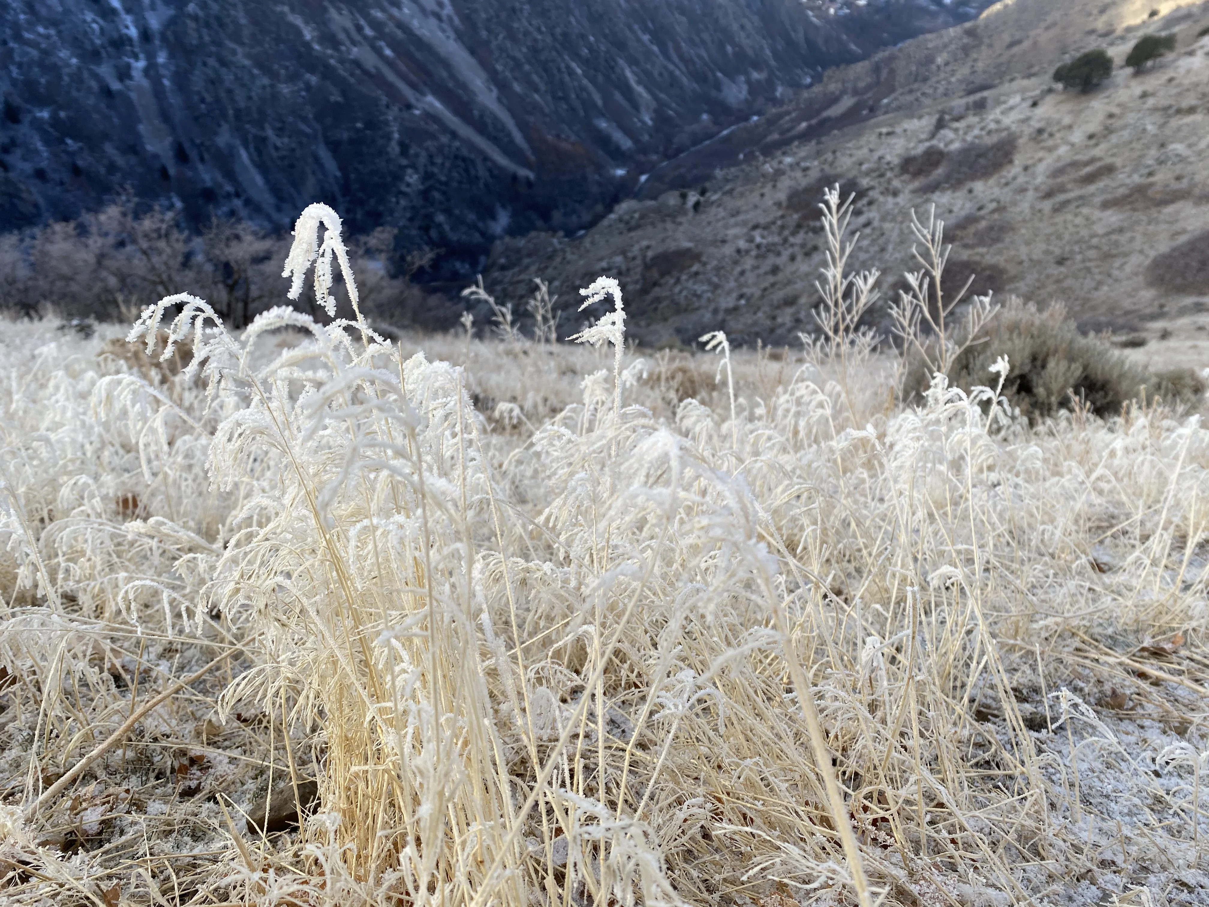 Millcreek in Fall picture 1 of 1