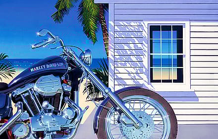 Harley on the beach by Bern Foster'