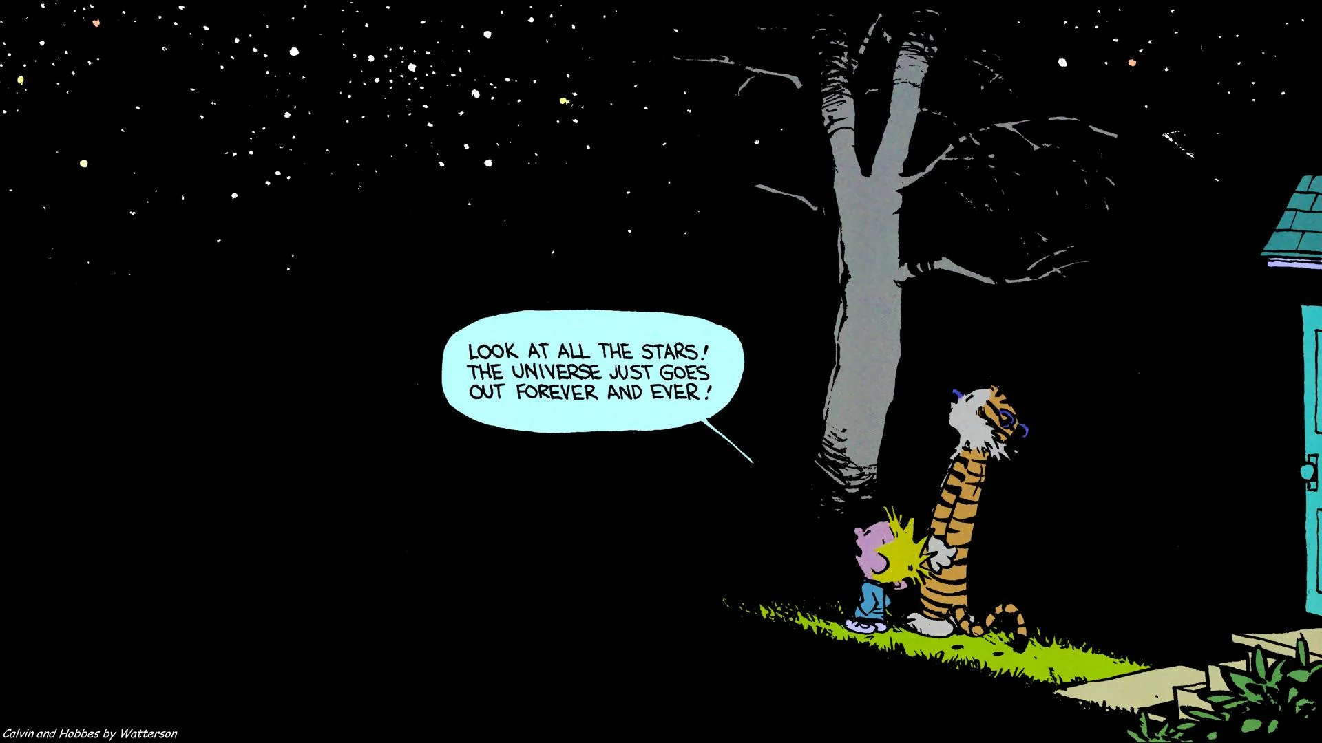Calvin and Hobbes - Forever and Ever picture 1 of 1