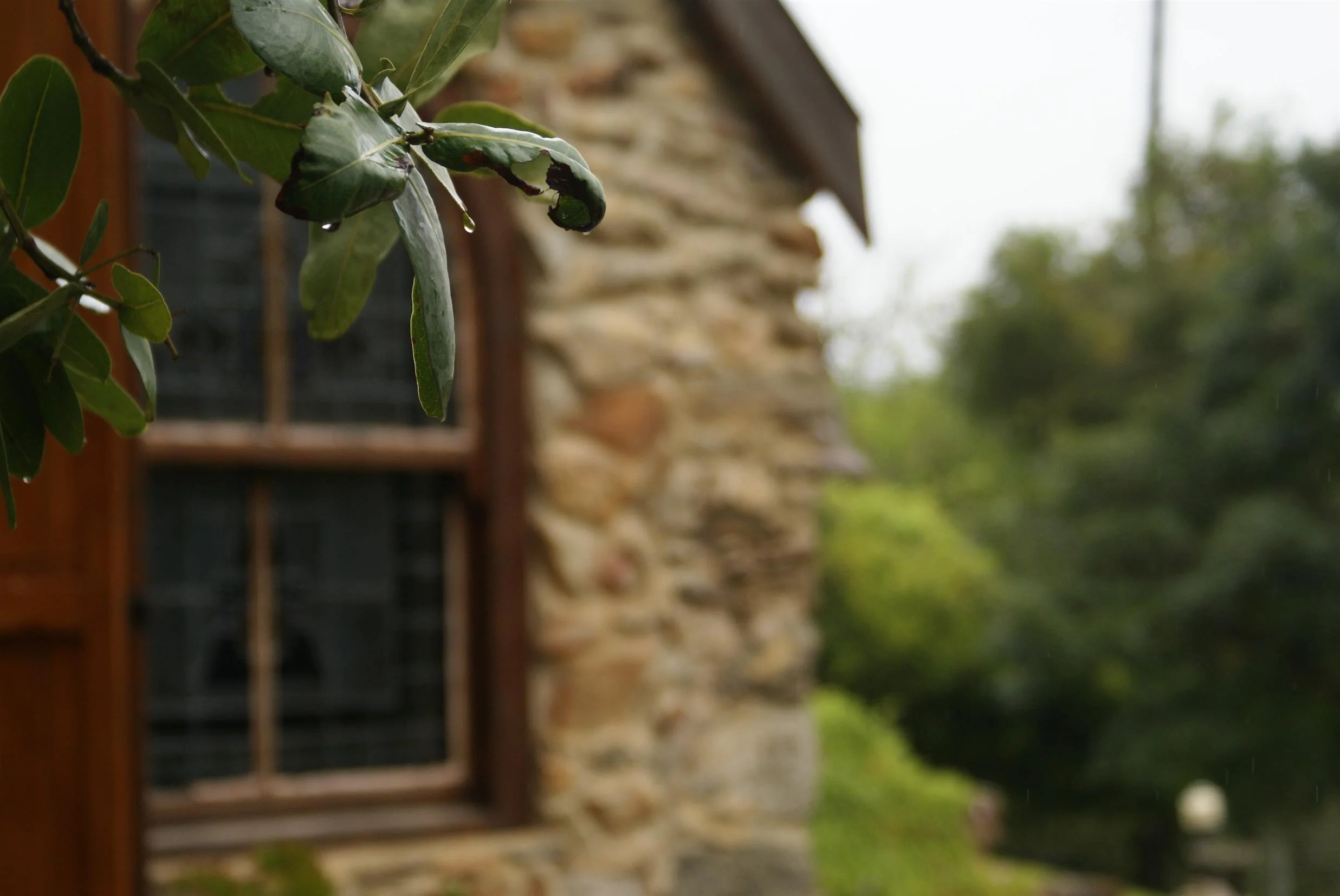 Rainy Church picture 1 of 1