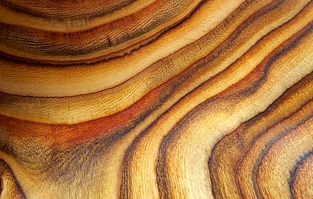 After all these years, I keep coming back to this'