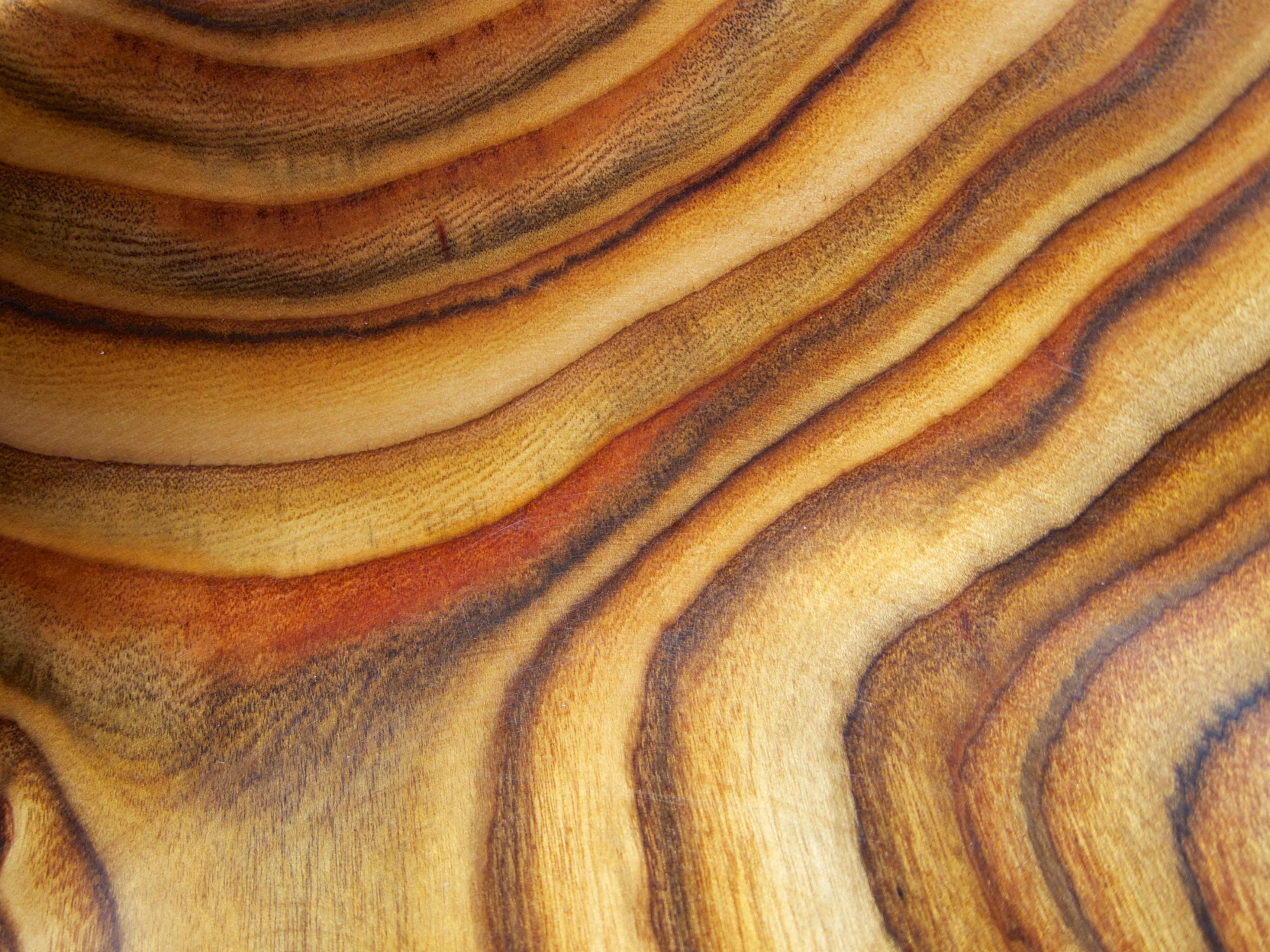 After all these years, I keep coming back to this picture 1 of 1