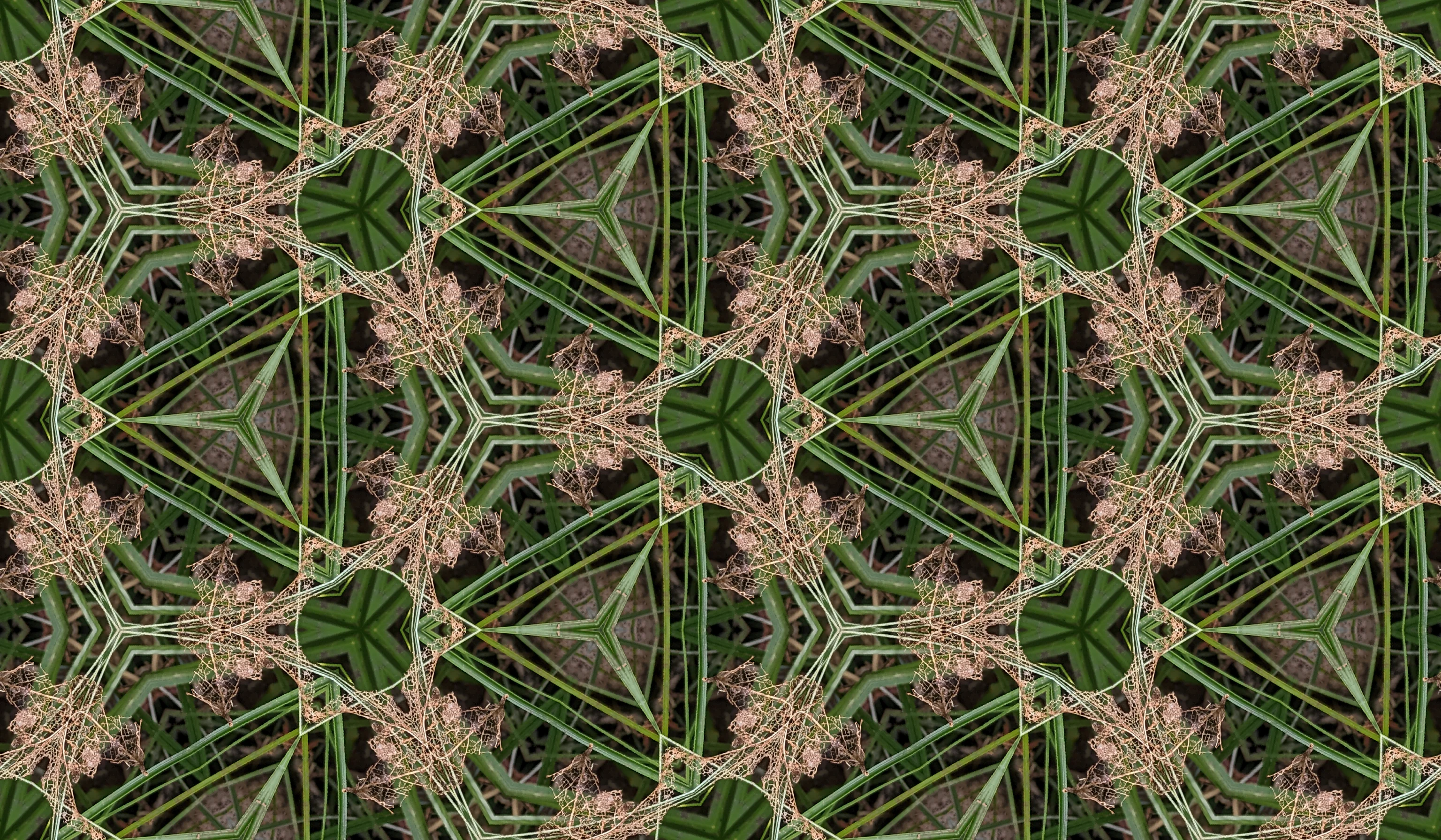 lacex picture 1 of 1