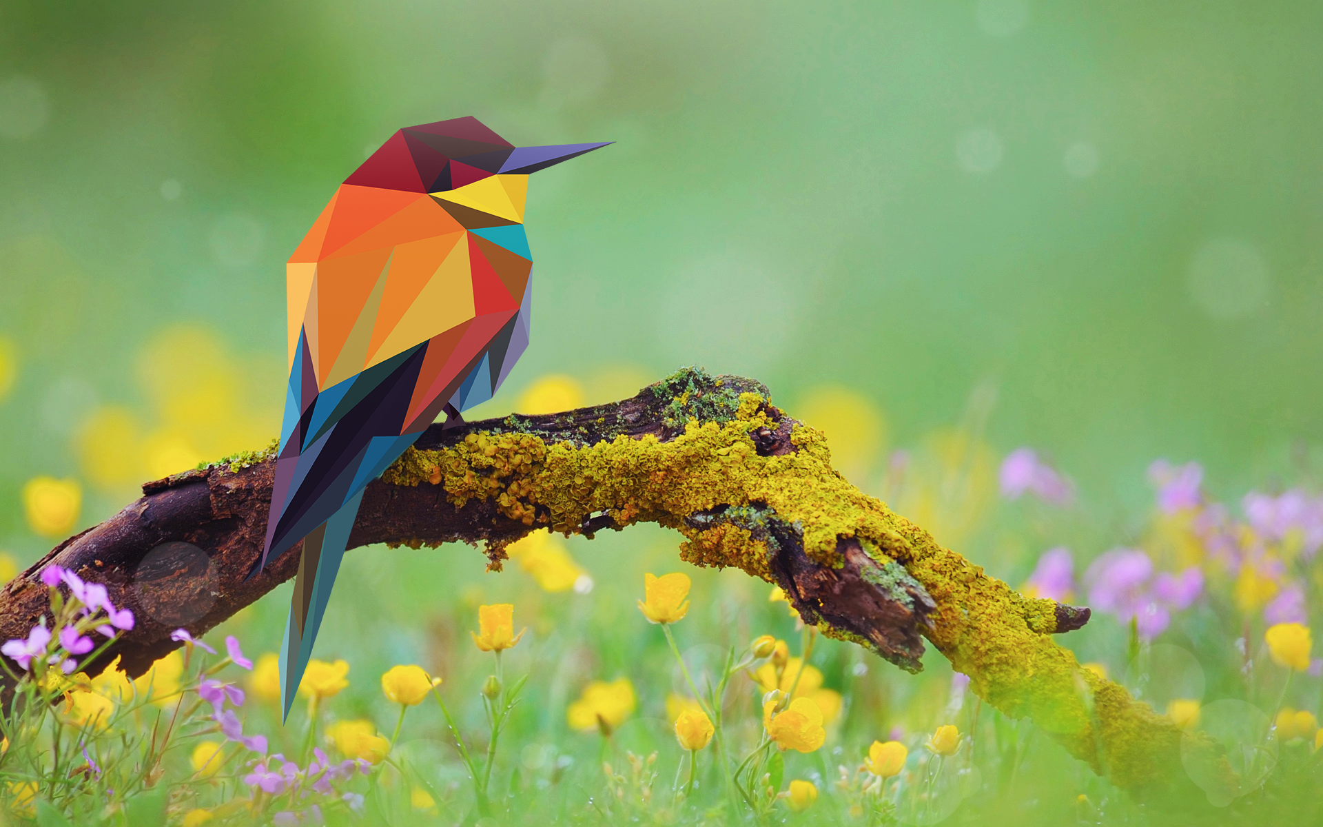 2D low poly bird on a branch :) picture 1 of 1