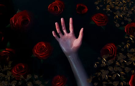 The Fair Lady Lives No More.'
