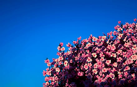 Pixel Cherry Blossom'